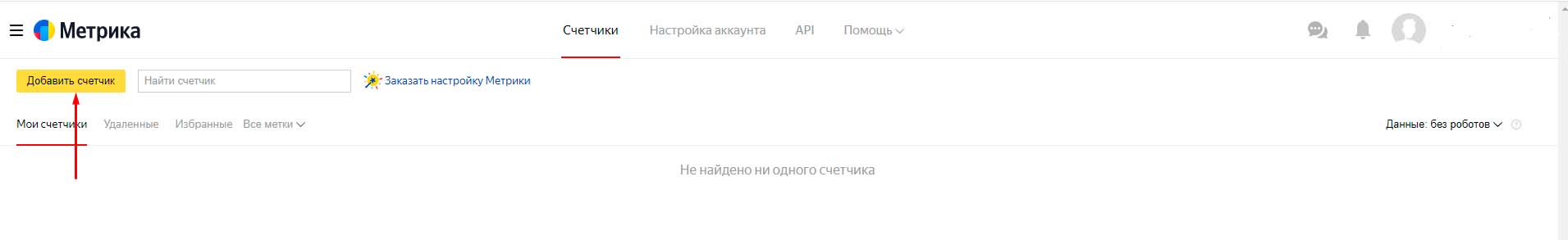 Метрика на сайте